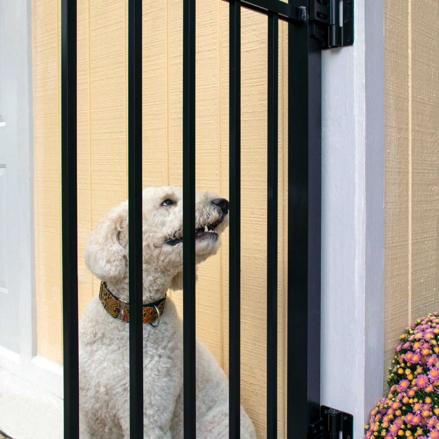 Butterfly Hinge - Flush Mount-Hinges-BOL Hardware-Black-12-FenceCenter