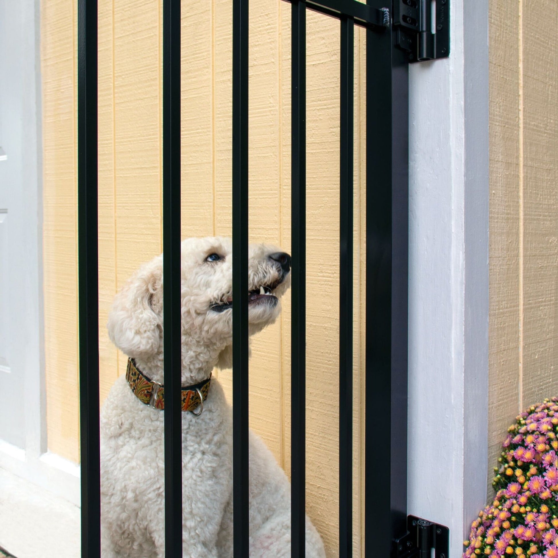 Butterfly Hinge - Flush Mount-Hinges-BOL Hardware-Black-12-FenceCenter