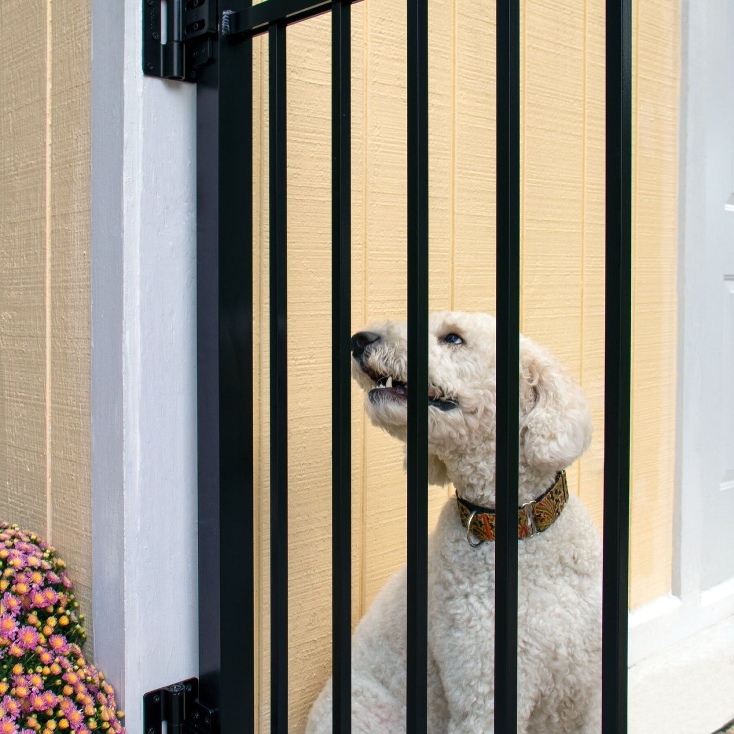 Butterfly Hinge - Flush Mount-Hinges-BOL Hardware-Black-12-FenceCenter